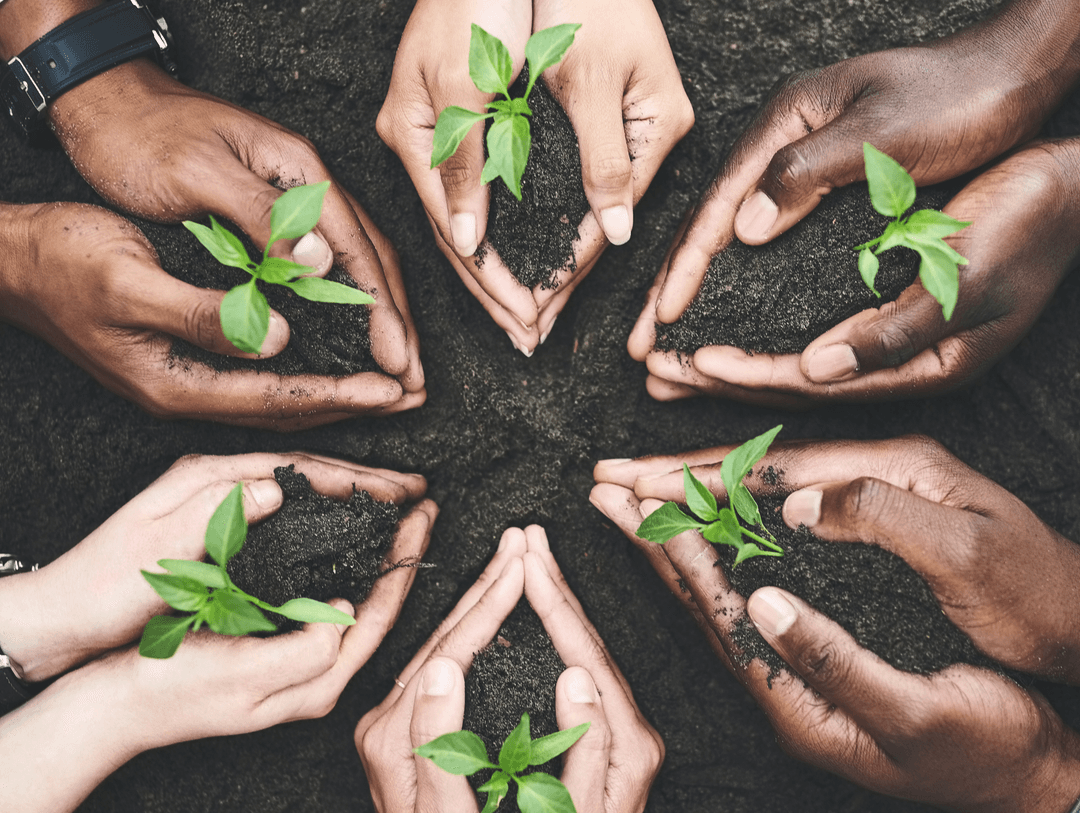 Trend research illustration showing forecasting and data analysis