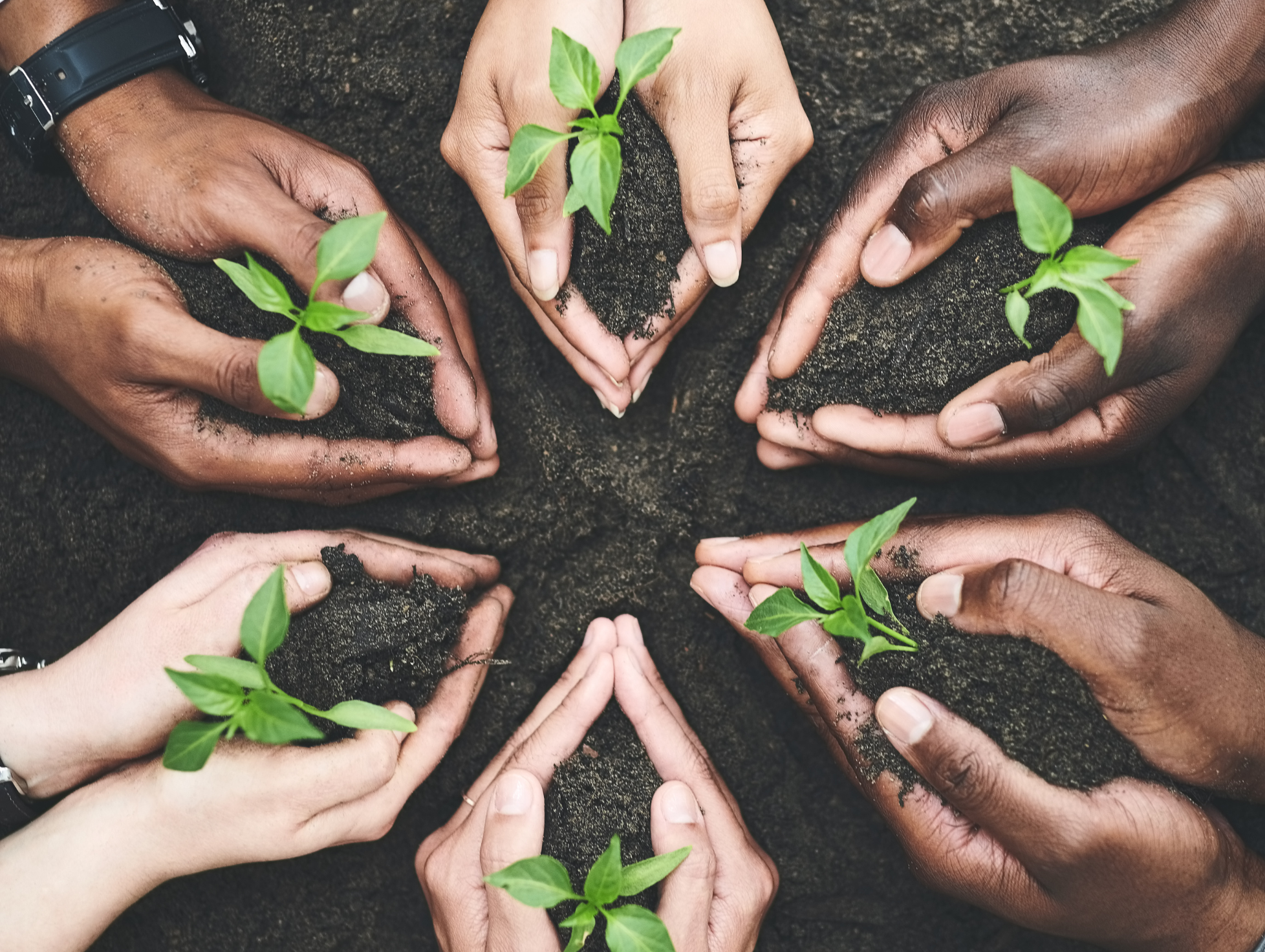 Trend research illustration showing forecasting and data analysis