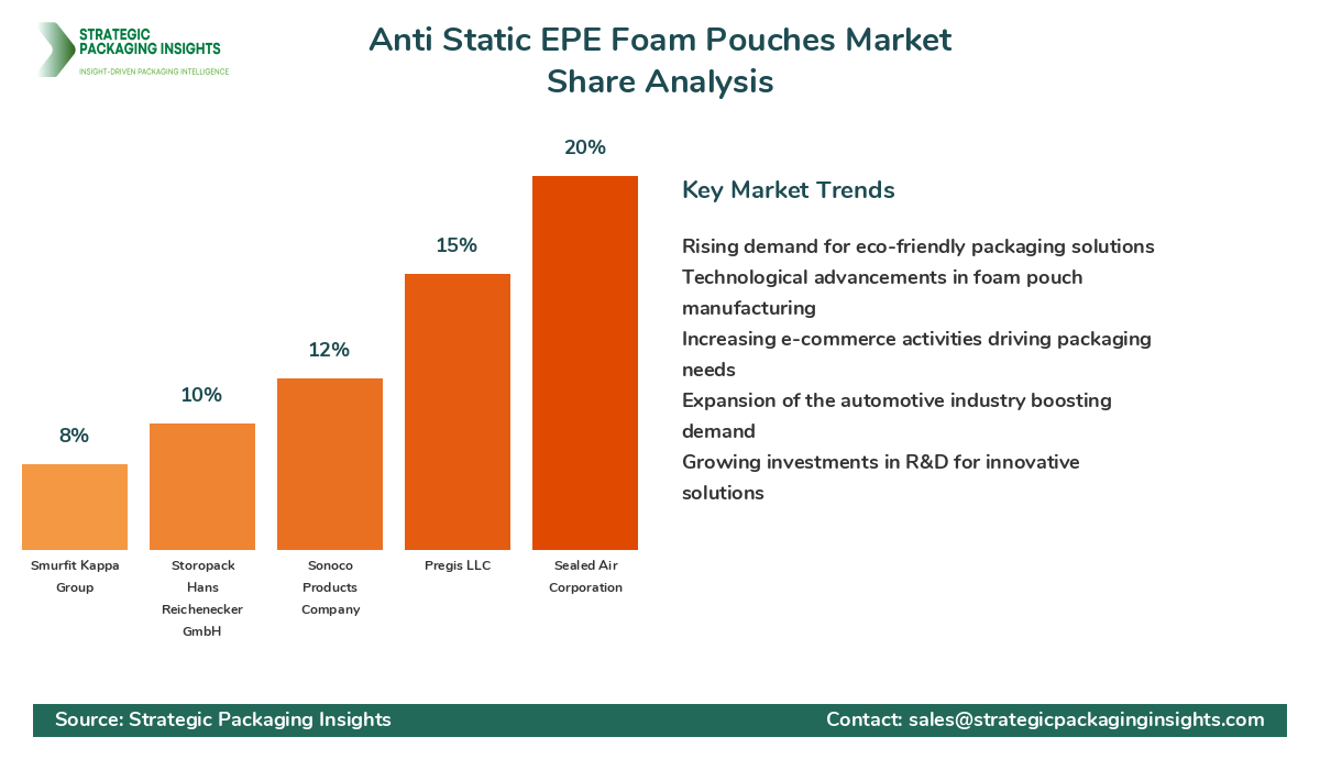 Anti Static EPE Foam Pouches Market Share Analysis by Company